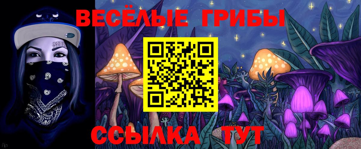 Галлюциногенные грибы ЛСД  Вход с VPN  Кинешма 