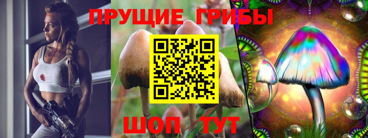 Галлюциногенные грибы Cubensis Кинешма